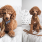 Beige Dog Leash