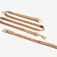 Beige Dog Collar Walk Kit