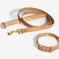 Beige Dog Collar Walk Kit