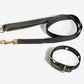 Black Dog Collar Walk Kit