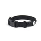 Pitch Black Dog Collar Walk Kit
