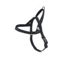 Pitch Black Dog Harness Walk Kit