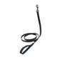 Pitch Black Dog Harness Walk Kit