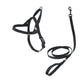 Pitch Black Dog Harness Walk Kit