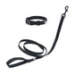Pitch Black Dog Collar Walk Kit