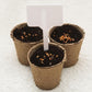 Biodegradable cardboard pots